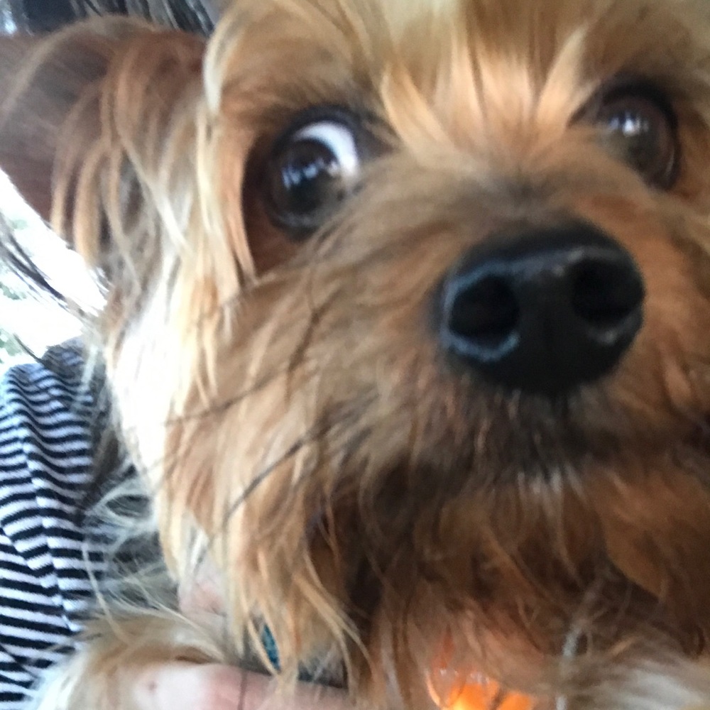 Meet your Posher, Christina